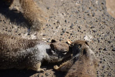 DSC_6847 (Large).JPG